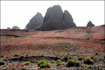 En quelle année Ahlam Mosteghanemi est-elle née ?