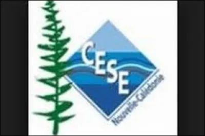 Combien de membres composent le CESE ?