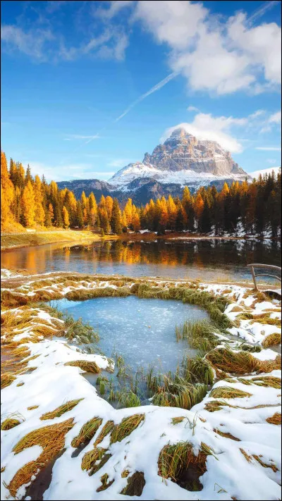 Quel animal préfères-tu ?