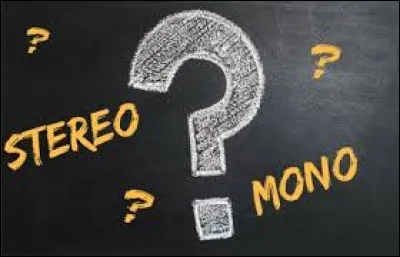 Grammaticalement "Mono" est un :