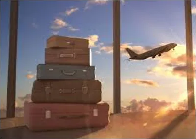 Tu trembles d'impatience d'y être. Il ne te reste qu'à faire tes bagages. Que prendras-tu en priorité ?