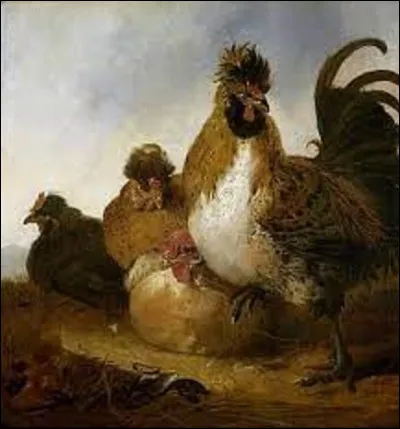 ''Coq et poules'' est un tableau réalisé en 1650. Quel artiste de l'âge d'or de la peinture néerlandaise est l'auteur de cette toile ?