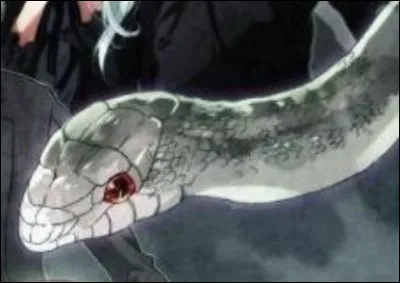 Comment sappelle le serpent qui a été un humain auparavant ?