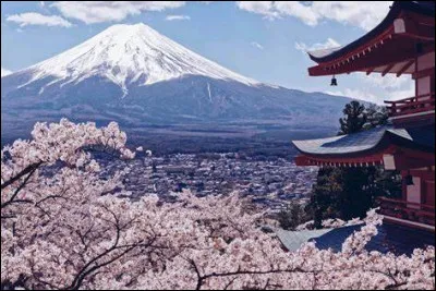 On trouve du rouge, du vert et du blanc sur son drapeau :