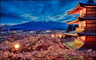 Le sommet du G20 s'y est tenu en novembre 2022 :