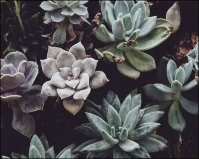 Quel est lâge de la Terre ?