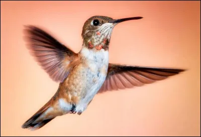 Quelle image préfères-tu ?