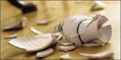 ... mon vase favori a été cassé à cause de mon petit frère !