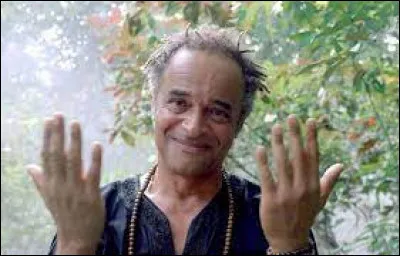 En 2007, Yannick Noah nous chantait "... arbres citoyens".