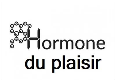 Quelle est lhormone du plaisir ou désir ?