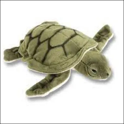 Et comment dit-on "vert" ?