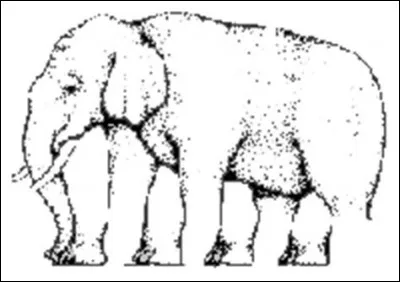 Combien cet éléphant a-t-il de pattes ?