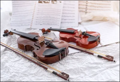 Laquelle de ces propositions ne désigne pas un instrument à corde ?