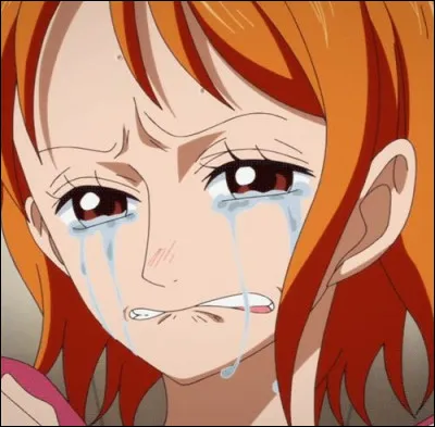 Pourquoi Nami économisait-elle 100 millions de Berrys ?