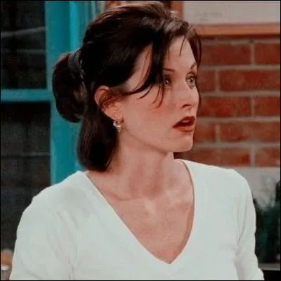 De qui Monica parle-t-elle quand elle dit : « C'est sûrement le garçon le plus marrant que j'ai jamais rencontré de ma vie. » ?