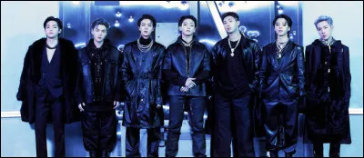 Avec quel artiste les BTS n'ont-ils pas fait de collaboration ?