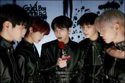 Quel est le nom des fans de TXT ?