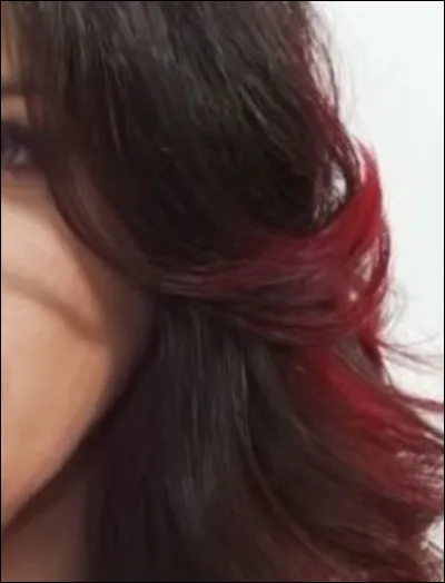 Qui est cette chanteuse ?