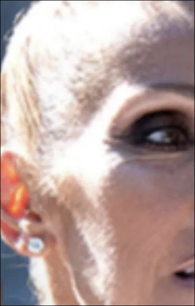 Qui est cette chanteuse ?