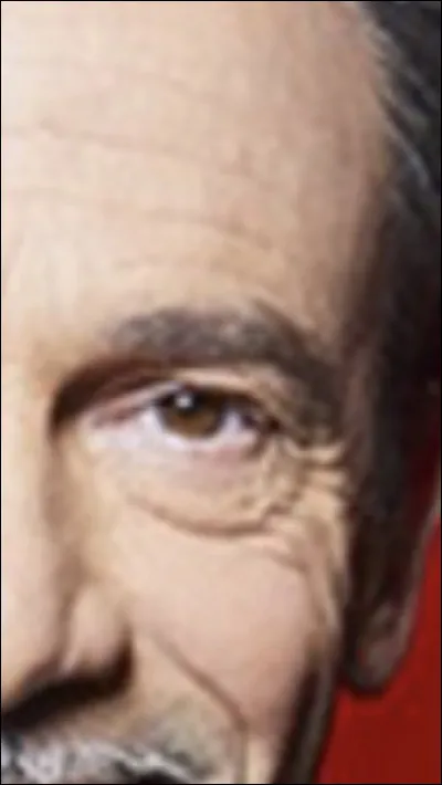 Qui est ce chanteur ?