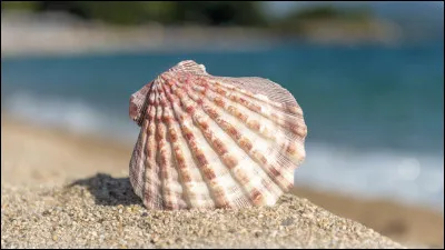 Épouse d’Héphaïstos, c’est la déesse de l’amour et de la beauté. Elle est connue pour avoir promis à Paris, un Troyen, contre la Pomme de la discorde, l’amour d’une humaine célèbre pour sa beauté, Hélène, alors mariée au Grec Ménélas.
Paris va alors la capturer, protégé par cette déesse, et c’est cet événement qui déclenche la guerre de Troie.