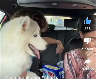 Comment s'appelle son chien ?