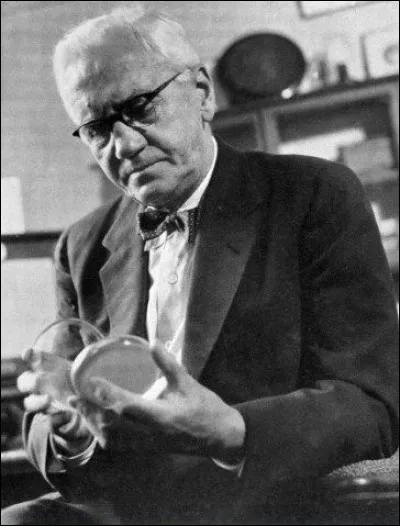 Alexander Fleming a reçu un prix Nobel de médécine :