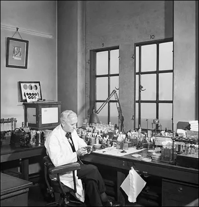 Alexander Fleming a uvré pendant la Premiere Guerre mondiale :