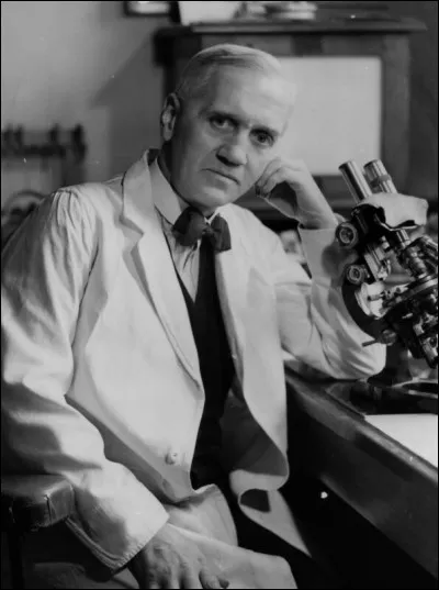 En 1928, Alexander Fleming est devenu professeur à l'école Saint Mary Médical School :