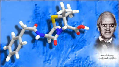 Quel organisme a interrompu la croissance des bactéries sur lesquelles il travaillait à son retour de vacances ?