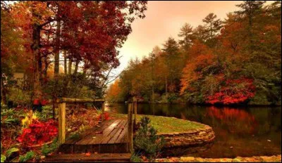 Dans quel pays trouve-t-on le spectrographe SOPHIE ?