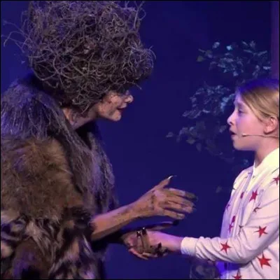 Où l'autruche souhaite-t-elle être une star ?