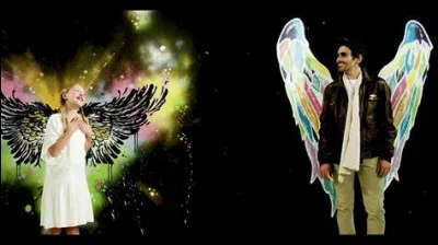 Que devait faire Emilie pour rendre le hérisson heureux ?