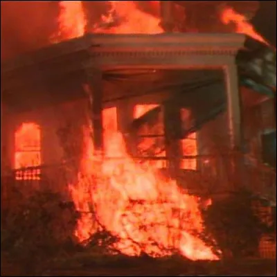 Qui est morte dans l'incendie avec le bébé de Mary et Adam ?