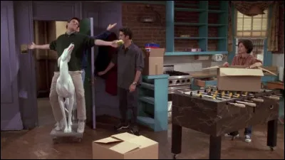 Pourquoi Chandler dit-il qu'il est allergique aux chiens ?