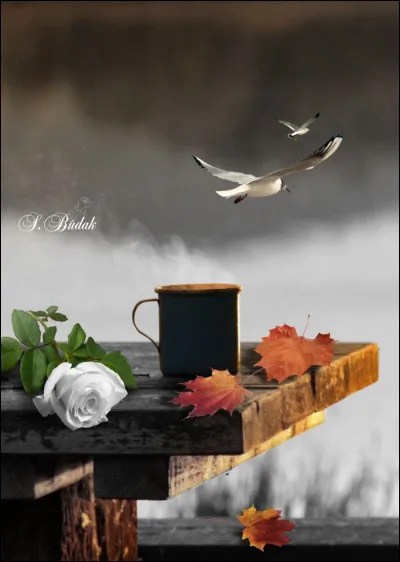 Aidez-moi à retrouver les paroles de la Marseillaise ! "Liberté, Liberté chérie..."