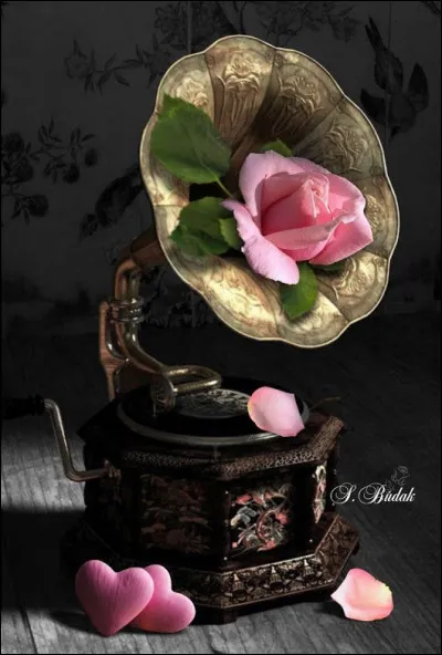 Dans les années 60, que demandait la femme dans la chanson un peu déjantée de Bob Azzam, chanteur égyptien d'origine libanaise ?