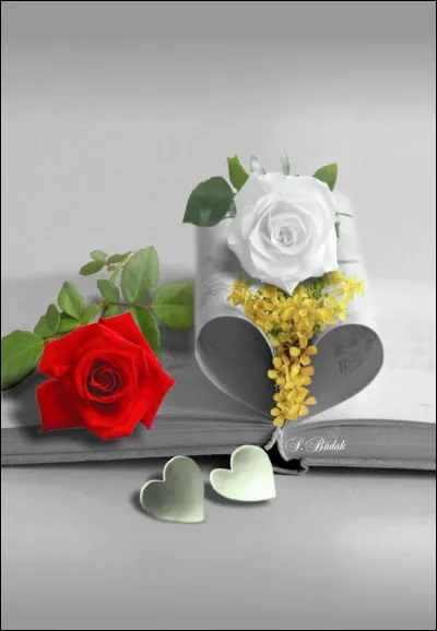 Qui est l'auteur du roman, "Chéri-Bibi" ?