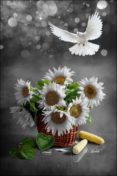 À qui appartient l'album "Liberté chérie", sorti en 2017 ?