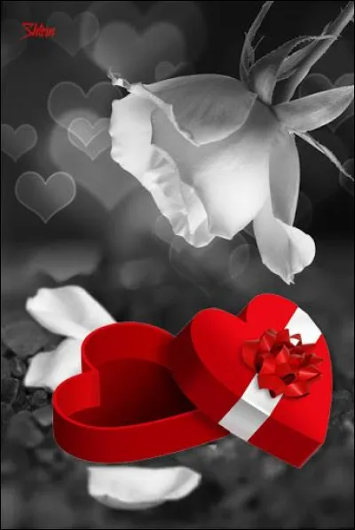 Mon Chéri ! Mais qu'est-ce que c'est ?