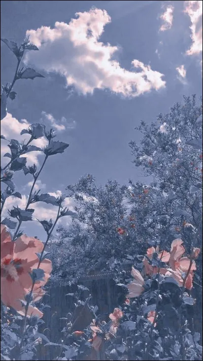 Quel est ton endroit préféré ?