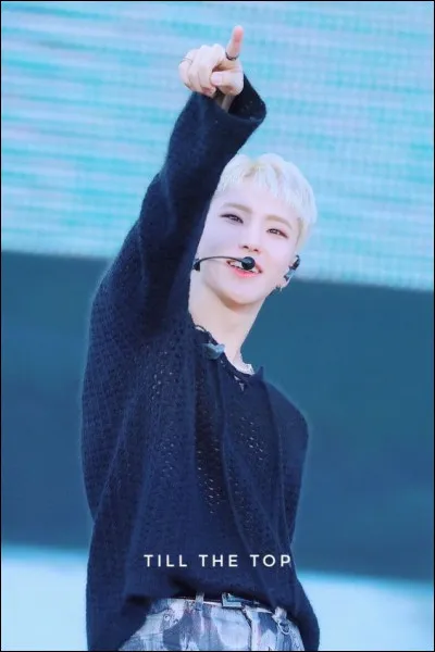 Quelles sont ses couleurs favorites ?