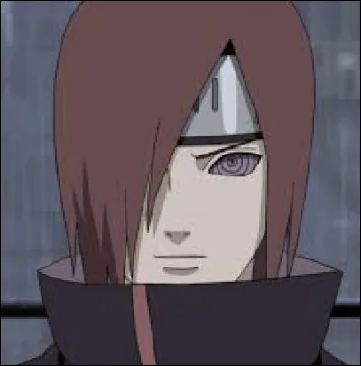 Nagato est un :