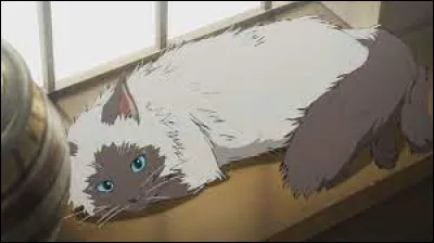 Quel est l'animal le plus lourd ?