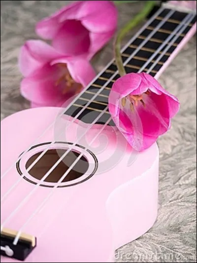 Qui chantait "Lady Jane" ?