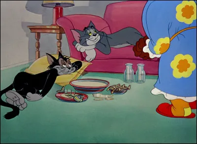 Enfin voici Tom allongé sur le canapé ! De quelle couleur est la souris nommée Jerry, avec laquelle il cohabite ?