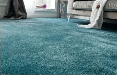 Outre un doux revêtement de sol, qu'appelle-t-on également "moquette" ?