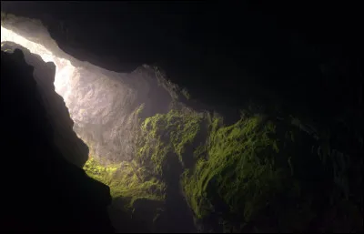 Fille de Déméter, la déesse des moissons, elle sest fait kidnapper par son oncle Hadès qui lemmène aux Enfers et en fait la déesse des souterrains :