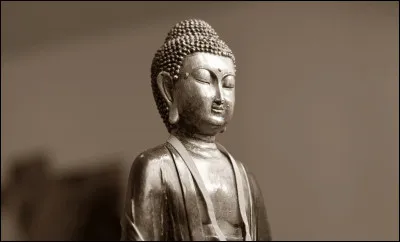 Retrouvez linsecte surnommé « bête à bon Dieu » :