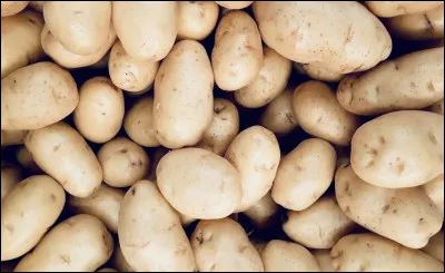 Retrouvez les plats à base de pommes de terre :